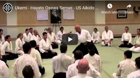 Osawa Sensei